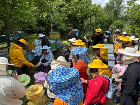 beekeeping workshop