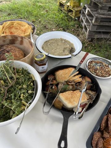 sustainable food workshop