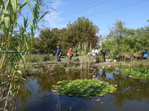 Biodiversity workshop