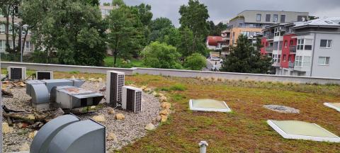 Green roof promoting biodiversity Green roof promoting biodiversity