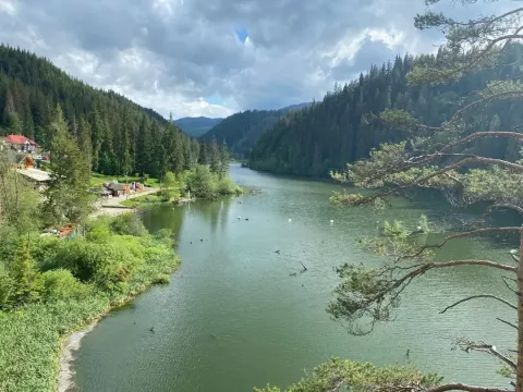 sudy visit lake witth trees