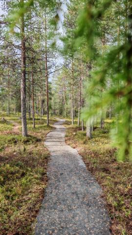 Santa's trail mountain biking trail in Lapland, Finland