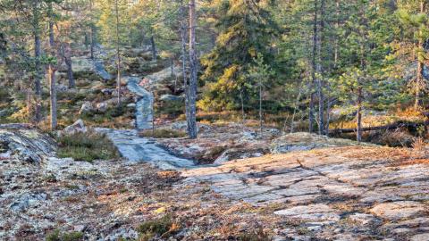 Santa's trail mountain biking trail in Lapland, Finland