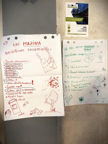 I see 2 posters created by children and another one featuring CIBioGo