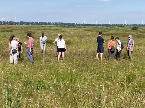 New nature in Lofar - combining functions