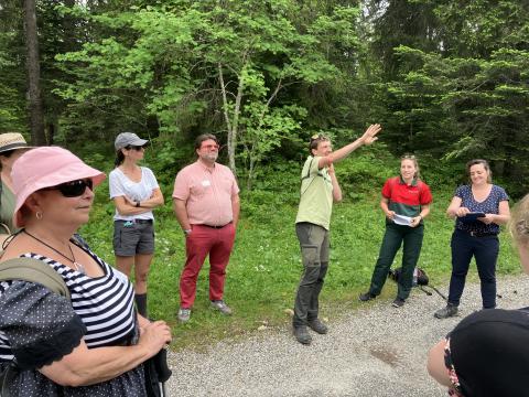 People in the forest beside sandy track and listening presentation of forest managers.