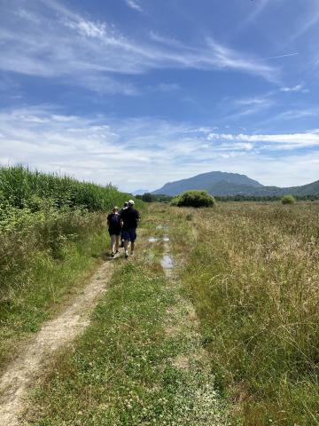 Wetland restoration site landscapes, Ruffieux, France. Alpines far behind, blue sky and three people walking a narrow path in hay field wetland.