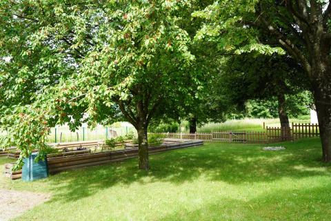 Resilient schoolyards - pedagogical garden Pedagogical garden