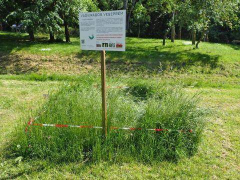 Testing plot wiht signage for alternative grassland management in Veszprém 