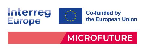 Logo of the microfuture project