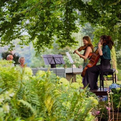 Musicians during the Stift Festival