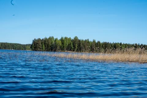 Third study visit to Finland Water and reeds - Finnish nature