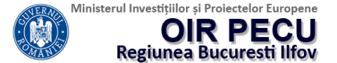 Regional Intermediate Body for European Programs Human Capital Bucharest Ilfov Region Logo OIR BI