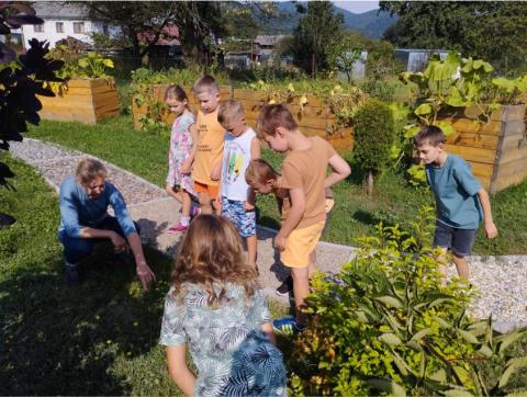 Educational activity