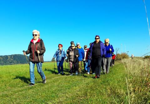 Members of the University of the Third Age during their activity 