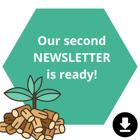 Announcement: Second FBI4EU Newsletter Available Now Graphic with a green hexagon containing the text "Our second NEWSLETTER is ready!" A small illustration of a sprouting plant over a pile of wood pellets is in the bottom left corner. A black download icon appears in the bottom right.