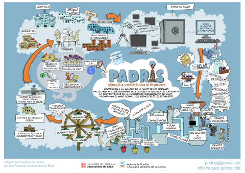 Organisation of the PADRIS programme. Organisation of the PADRIS programme (in Catalan).