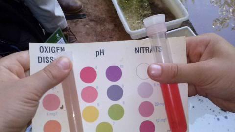 Rivers Project_Sampling chemical quality