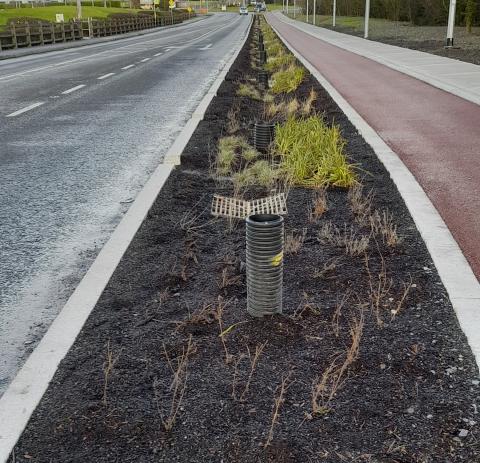Example of nature based sustainable urban drainage A swale for managing rainwater runoff from a road, cycle path and footpath