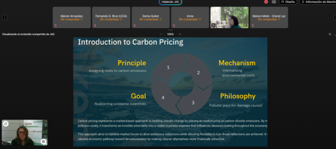 Screenshot 1. Screenshot 1 from carbon offsetting webinar.