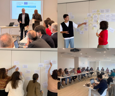IMPETUS third policy brokerage event in Las Palmas 