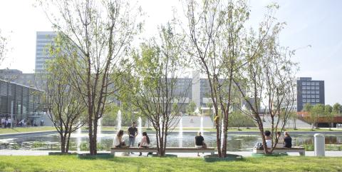 Green university campus with a fountain