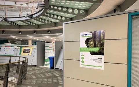 Photo on a glass-grey circle-shaped corridor in upper floors of Regional Ministry of Junta de Andalucia, Spain.