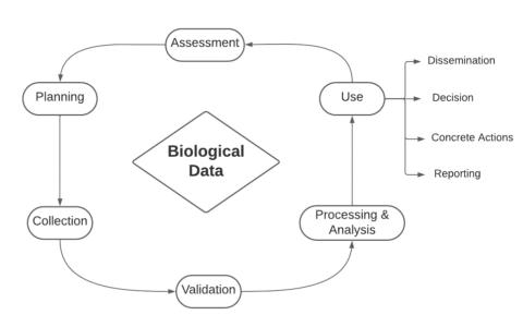 Masterclass Graphic