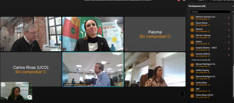 Screenshot 2. Screenshot of participants in webinar view.