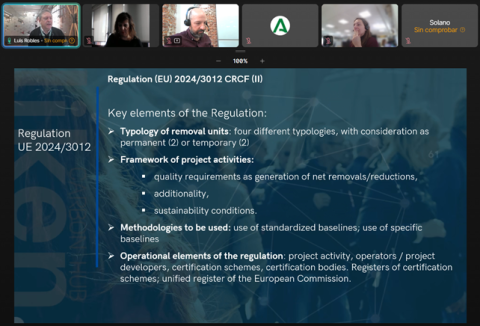 Screenshot 3. Principles in Carbon offsetting EU regulation.
