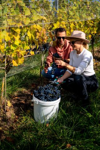 At the vineyard
