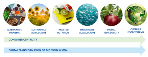 Transformation of the food system