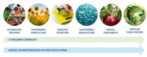 Transformation of the food system Transformation of the food system