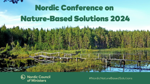 Screenshot from webinar slides, small pond surrounded by green forests and old and rickety wooden bridge over the water.