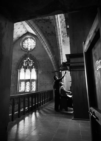 Organ Days
