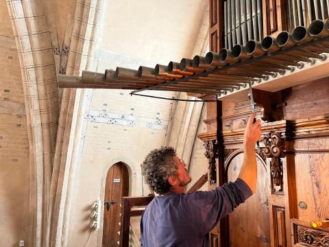 Preparation for the Organ Days