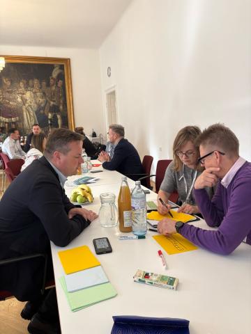study visit baden bei wien People around a meeting table having a conference