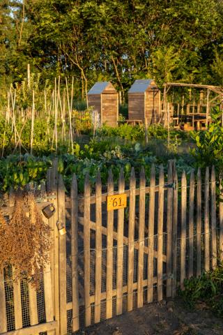 Urban Gardens Some lots of Urban Gardens dedicated to educational activities