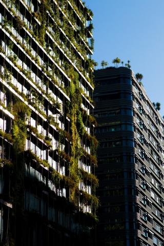 green building 