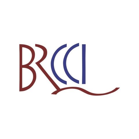 Bulgarian-Romanian Chamber of Commerce and Industry logo