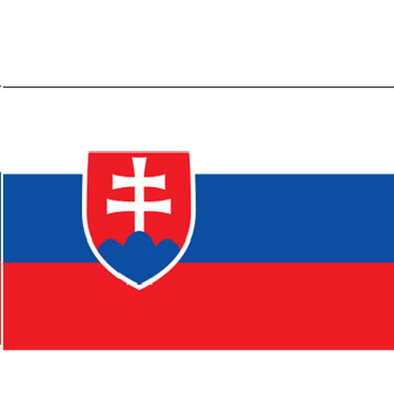 Slovakia's flag