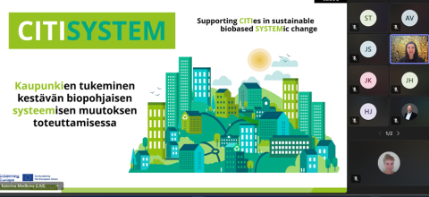 Picture of the webinar webinar screenshot