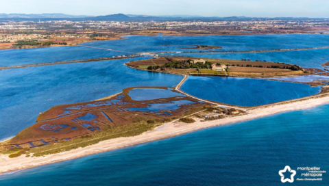 Anticipating coastal retreat : GIS-based mapping for sustainable urban planning in Villeneuve-lès-Maguelonne