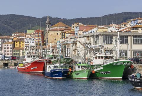 Urdaibai Biosphere Reserve - Bermeo 