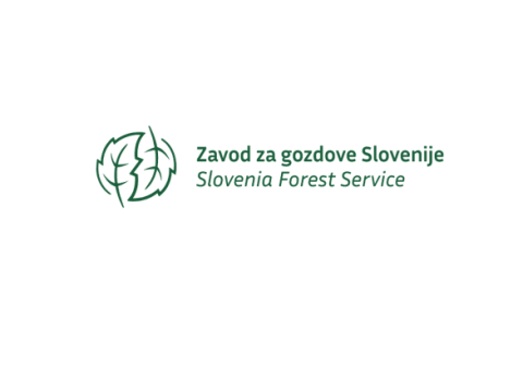 logo sfs