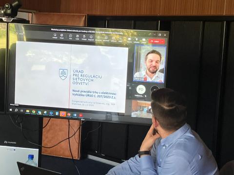 Michal Hudec from The Regulatory Office for Network Industries The online speaker at SIEA meeting