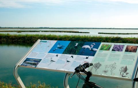 By bicycle in Comacchio Valley, Po Delta area, Emilia-Romagna region