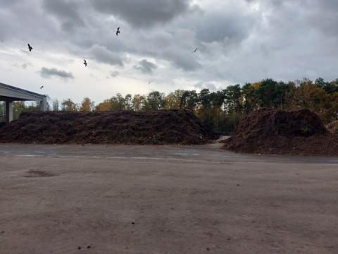 heap of compost 
