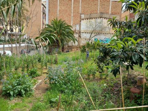 A self-governed open space that provides an inclusive environment for the neighbors of Poble Sec. For 10 years, the Solar de la Purí has been a place for artistic, educational and social gatherings, shaping the social and cultural landscape of Poble Sec. Due to the current climate crisis, the Solar is increasingly facing challenges such as rising temperatures, intense heat waves, drought, and soil erosion.