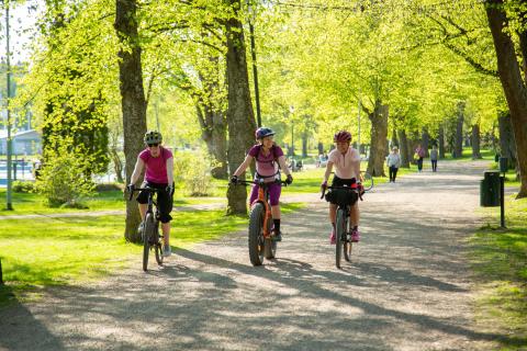 Park scenery with three cyclists in the middle